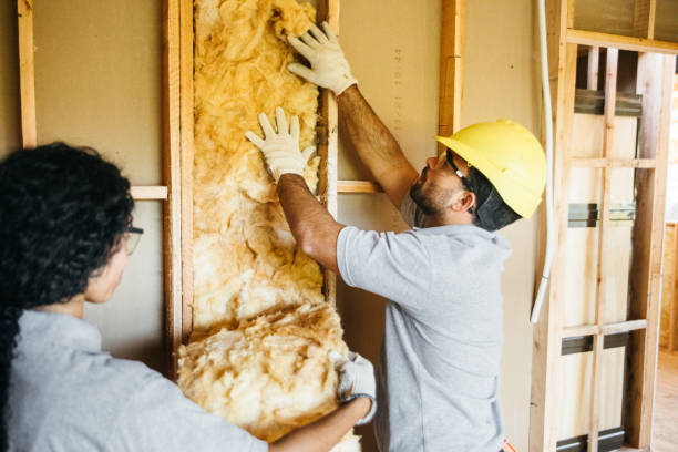 Best Insulation for New Construction  in Piney Mountain, VA